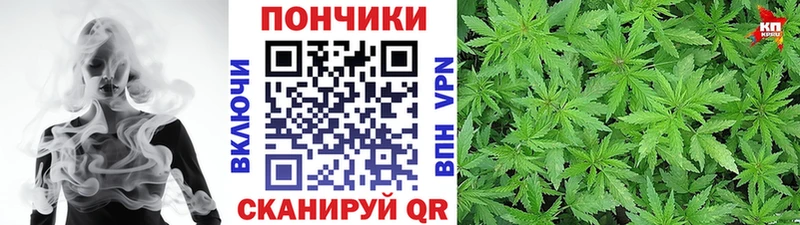 МАРИХУАНА сатива  Карачаевск 